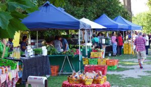 Hastings Farmers Market 3